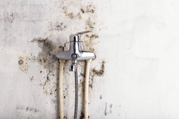 Haw River, NC Mold Remediation Company