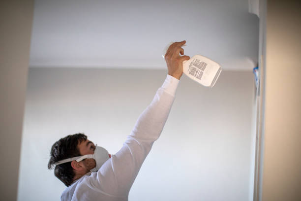 Best Preventive Mold Services in Haw River, NC
