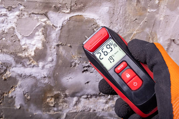 Best Mold Remediation for Schools in Haw River, NC