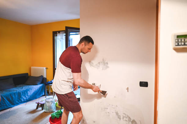 Best Localized Mold Remediation (e.g., coastal areas, humid climates) in Haw River, NC